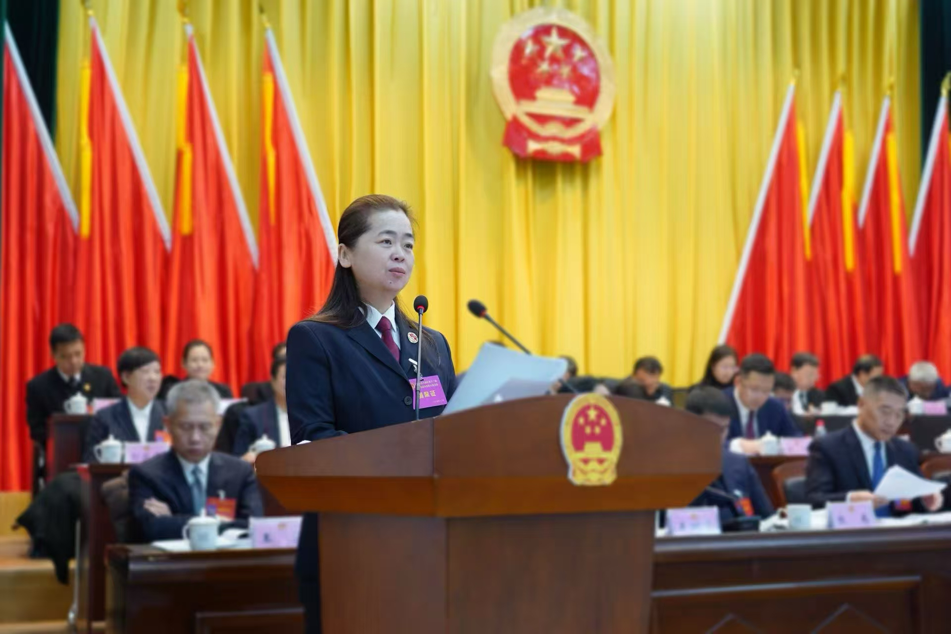 太子河区人民检察院工作报告获一致通过，赵毅同志全票当选太子河区人民检察院检察长